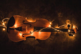 violin-2921485_icon