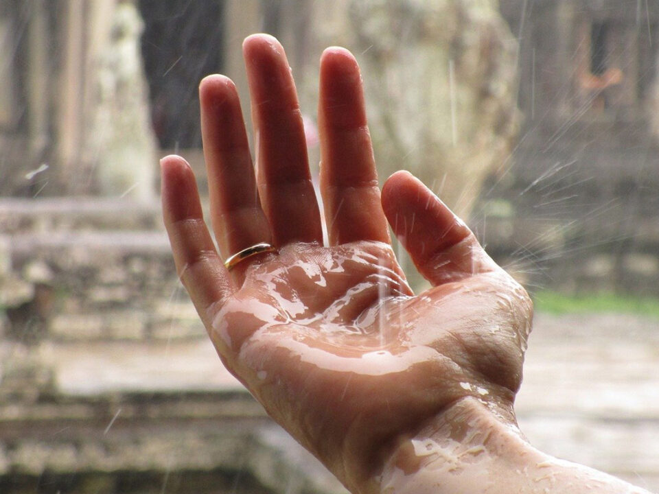 hand-1819357_1200x800