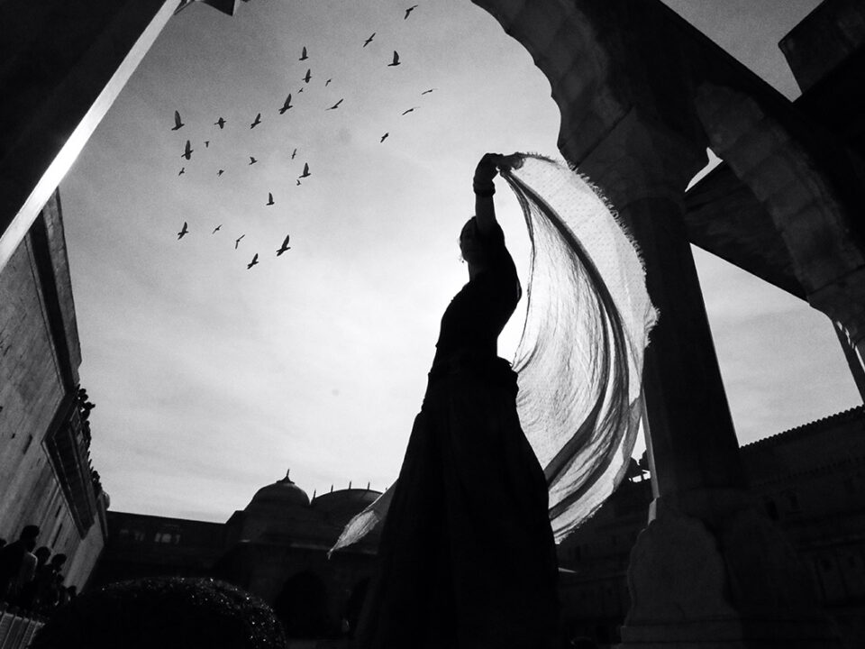 pexels-vishnudeep-dixit-1646169