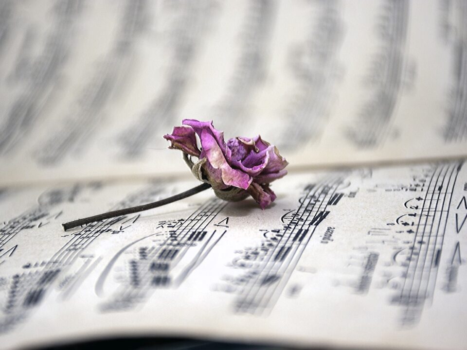 sheet-music-6292212_1280